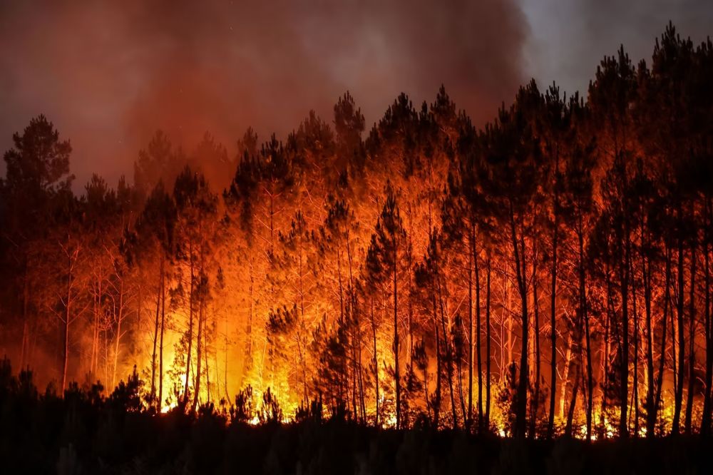 grand canyon lodge north rim wildfire
